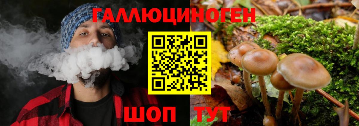 Галлюциногенные грибы Cubensis  Вход с VPN  Щёкино 