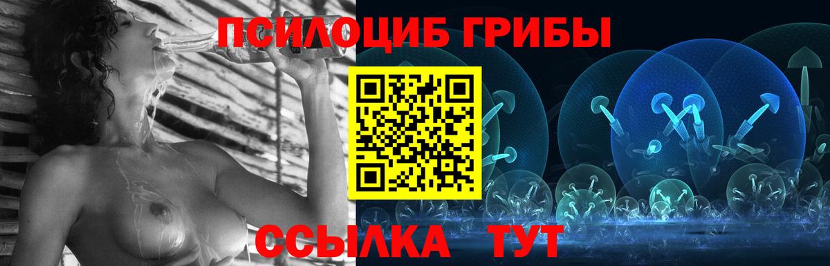 Псилоцибиновые грибы Psilocybine cubensis Щёкино